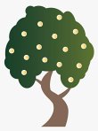 aromapraxis-beerbaum---alternative-und-ganzheitliche-heil--und-gesundheitspraxis