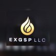 exgsp-gmbh-llc