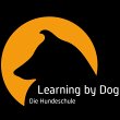 learning-by-dog